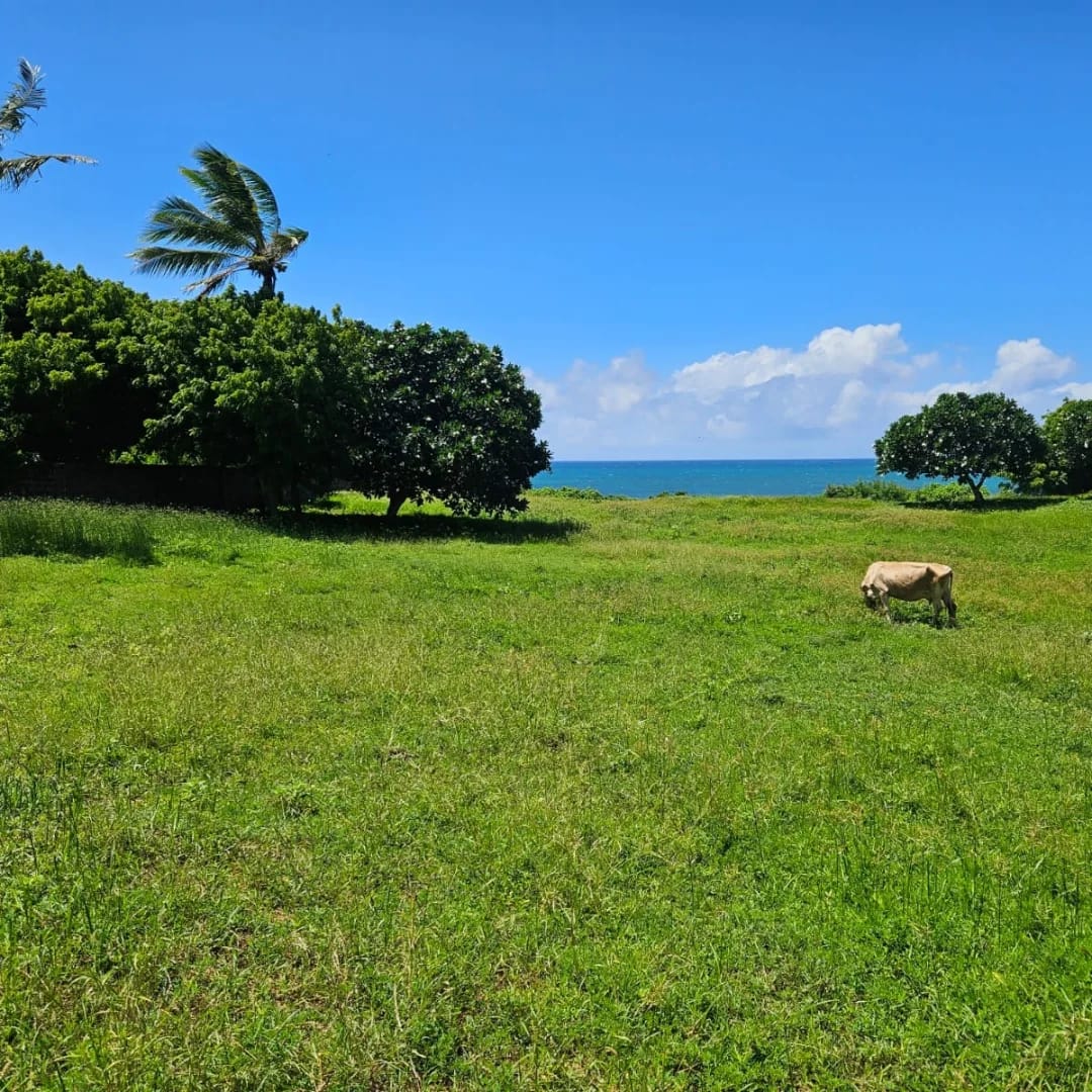 2 Acres of Land for Sale in Bofa, Kilifi