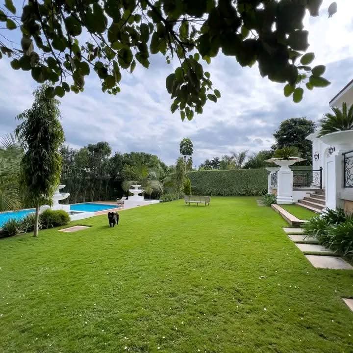 5 Bedroom Villas for Rent in Karen, Nairobi