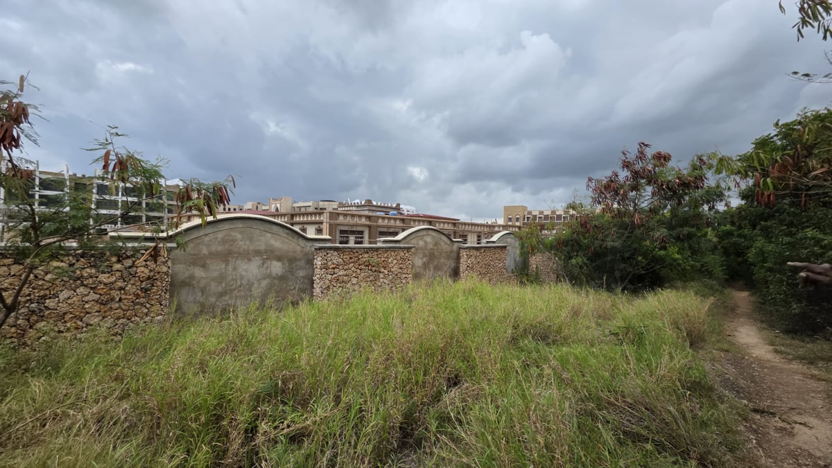 Land for Sale in Kwale County | 22 Acres in Kondutsi — photo 7