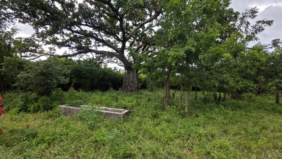 Land for Sale in Kwale County | 22 Acres in Kondutsi — photo 2