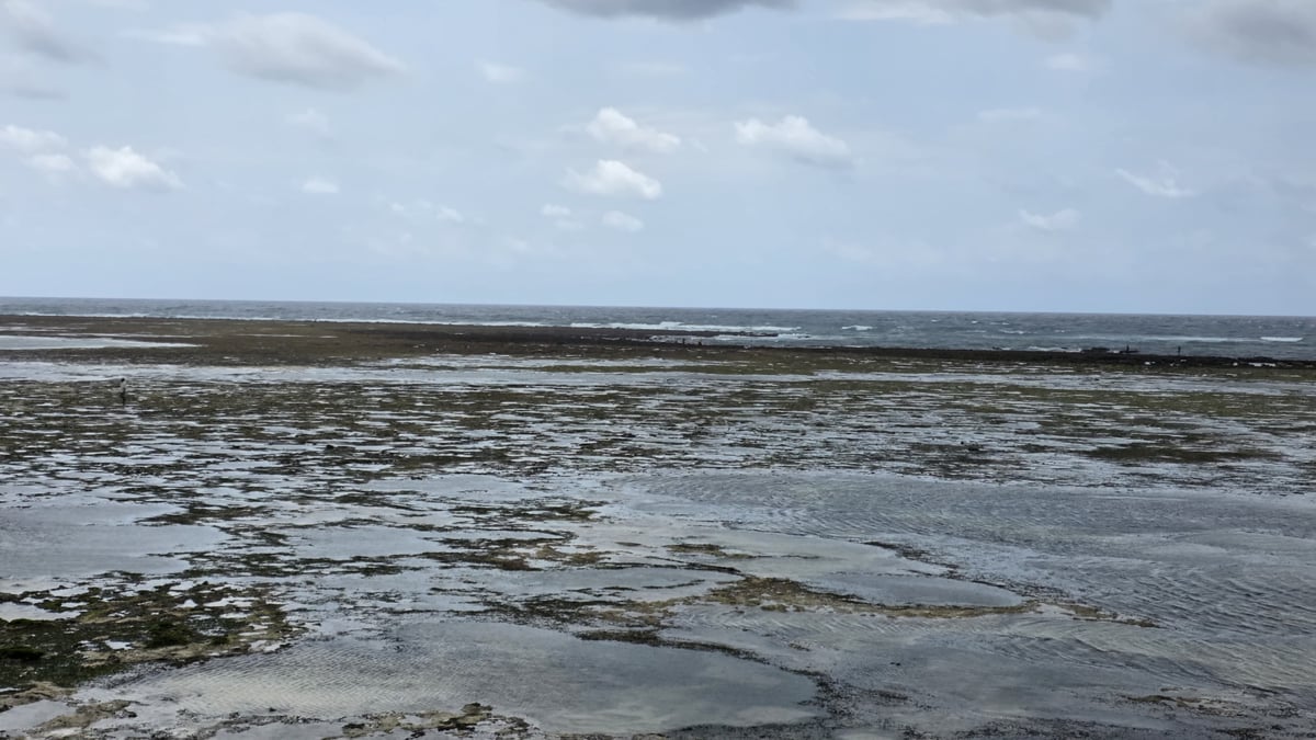 Land for Sale in Kwale County | 22 Acres in Kondutsi — photo 5