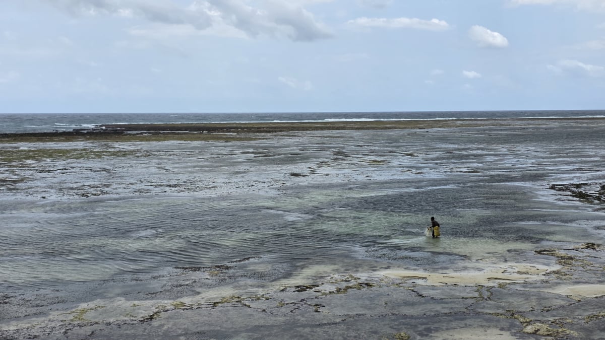 1 Acre Land for Sale in Diani, Kwale County — photo 1