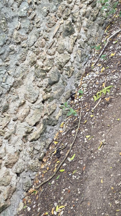 1 Acre Land for Sale in Diani, Kwale County — photo 3