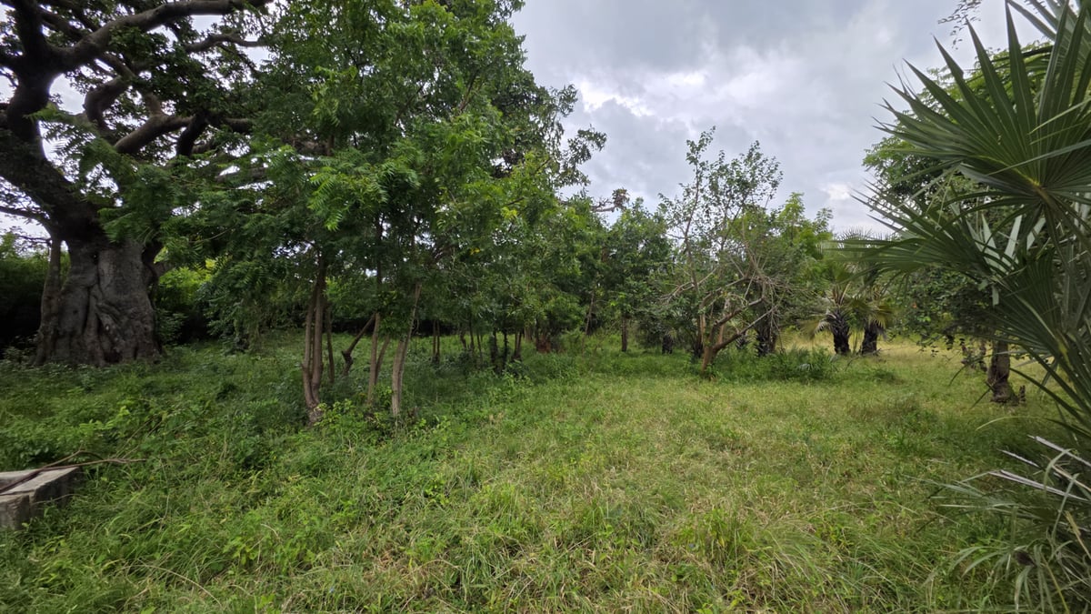 Land for Sale in Kwale County | 22 Acres in Kondutsi — photo 4