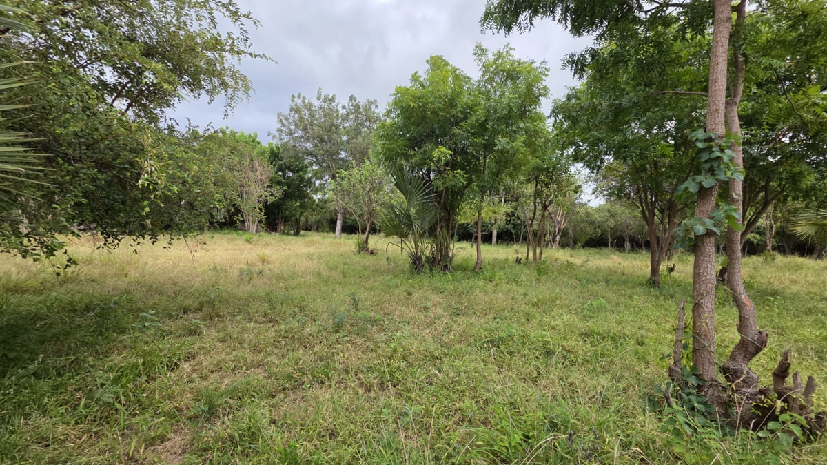 Land for Sale in Kwale County | 22 Acres in Kondutsi — photo 3