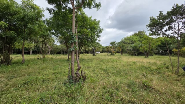 Land for Sale in Kwale County | 22 Acres in Kondutsi