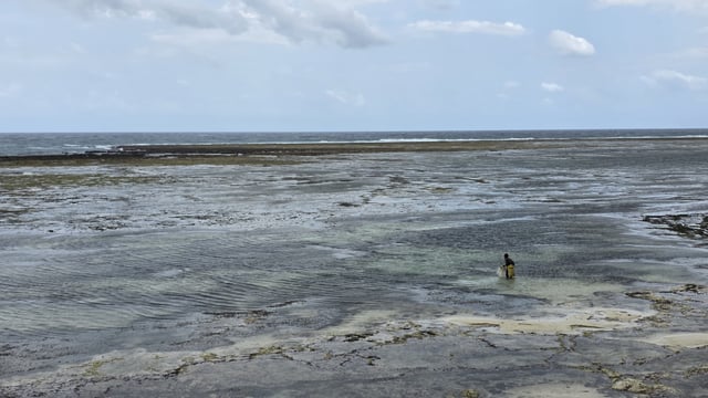 1 Acre Land for Sale in Diani, Kwale County